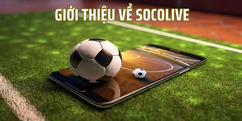 Miễn Trừ Trách Nhiệm Socolive bảo vệ quyền lợi người dùng