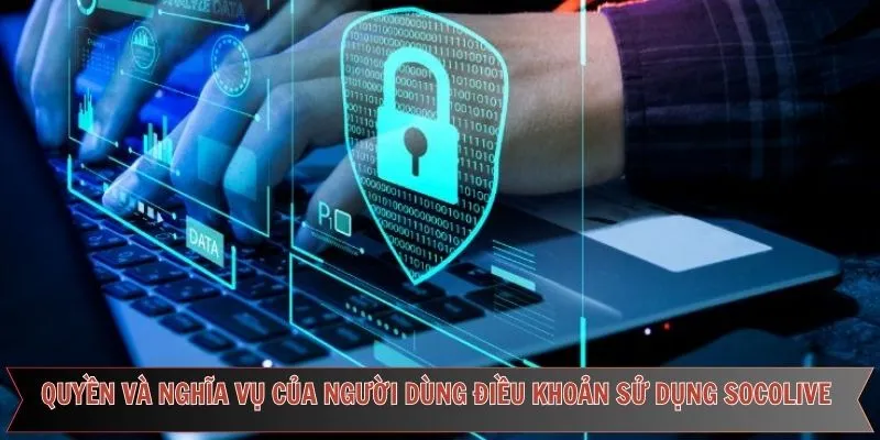 Điểm qua quyền và nghĩa vụ cơ bản của người dùng Socolive